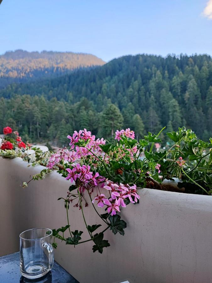 Indian Backpackers Hostel Manāli Eksteriør billede